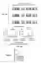 Fig. 06 - Implantable prosthetic device comprising a cell expressing a channelrhodopsin