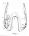 Fig. 13 - METHODS USEFUL FOR REMODELING MAXILLOFACIAL BONE USING LIGHT THERAPY AND A FUNCTIONAL APPLIANCE