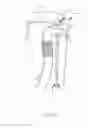 Fig. 33 - Face soaking device