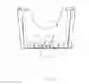 Fig. 78 - Face soaking device