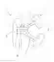 Fig. 02 - ROPING HARNESS