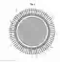 Fig. 03 - Trampoline with Multi-Tone Radial Array