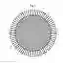 Fig. 04 - Trampoline with Multi-Tone Radial Array