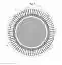 Fig. 08 - Trampoline with Multi-Tone Radial Array
