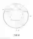 Fig. 07 - Golf ball
