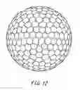 Fig. 13 - Golf ball