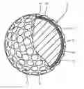 Fig. 01 - Golf ball