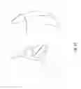 Fig. 20 - Projectile and Throwing Apparatus and Game for Projectile Throwing