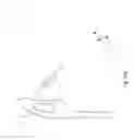 Fig. 62 - Projectile and Throwing Apparatus and Game for Projectile Throwing