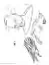Fig. 02 - Customizable mannequin form