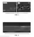 Fig. 03 - Proton conducting ceramic membrane