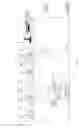 Fig. 05 - Agrochemicals pre-dilution unit