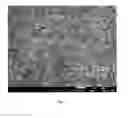 Fig. 03 - Monolithic catalyst for simultaneous removal of NOand carbon particles, especially from off-gases of carbon power plants as well as the manner of production of the monolithic catalyst for simultaneous removal of NOand carbon particles, especially from off-gases of carbon power plants