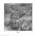 Fig. 02 - Heterogeneous catalyst for production of 3-hydroxypropionic acid from allyl alcohol, and method for preparation of 3-hydroxypropionic acid from allyl alcohol using the same
