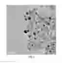Fig. 03 - Heterogeneous catalyst for production of 3-hydroxypropionic acid from allyl alcohol, and method for preparation of 3-hydroxypropionic acid from allyl alcohol using the same