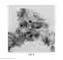 Fig. 05 - Heterogeneous catalyst for production of 3-hydroxypropionic acid from allyl alcohol, and method for preparation of 3-hydroxypropionic acid from allyl alcohol using the same