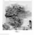 Fig. 06 - Heterogeneous catalyst for production of 3-hydroxypropionic acid from allyl alcohol, and method for preparation of 3-hydroxypropionic acid from allyl alcohol using the same