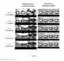 Fig. 40 - Method and apparatus for the discretization and manipulation of sample volumes