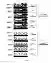 Fig. 41 - Method and apparatus for the discretization and manipulation of sample volumes