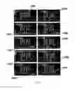 Fig. 49 - Method and apparatus for the discretization and manipulation of sample volumes