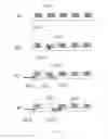 Fig. 61 - Method and apparatus for the discretization and manipulation of sample volumes