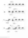 Fig. 63 - Method and apparatus for the discretization and manipulation of sample volumes