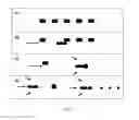 Fig. 68 - Method and apparatus for the discretization and manipulation of sample volumes