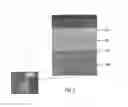 Fig. 06 - Microfluidic structure
