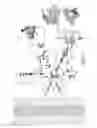 Fig. 09 - Flexible cleaning lance positioner guide apparatus