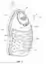 Fig. 02 - Article for scrubbing and cleaning hard surfaces and a method for use thereof