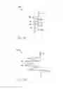 Fig. 16 - Method and apparatus for creating formed elements used to make wound stents