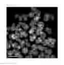 Fig. 04 - Metal nanoparticles