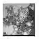 Fig. 06 - Metal nanoparticles