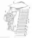 Fig. 24 - Apparatus and method for universal, flexible pillow bag pattern creation