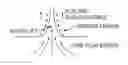 Fig. 01 - SYSTEMS AND METHODS FOR FACILITATING THE GENERATION OF CORE-SHEATH TAYLOR CONES IN ELECTROSPINNING