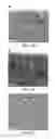 Fig. 16 - Pore orientation using magnetic fields