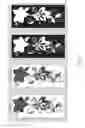 Fig. 07 - Method for generating relief prints