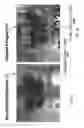 Fig. 03 - System and Method for Laser Writing