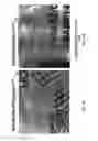 Fig. 05 - System and Method for Laser Writing