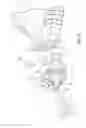 Fig. 03 - Chalk line device