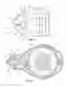 Fig. 05 - Chalk line device