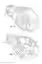 Fig. 12 - Chalk line device