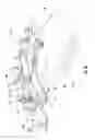 Fig. 15 - AGRICULTURAL VEHICLE WITH TOE ANGLE ADJUSTMENT