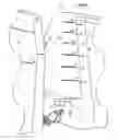 Fig. 01 - AERODYNAMIC TRACTOR-TRAILER GAP REDUCER AND ASSEMBLY THEREOF