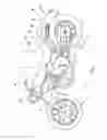 Fig. 02 - Rear fender for vehicle