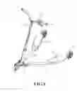 Fig. 10 - SCOOTER