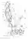 Fig. 05 - Motorcycle