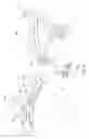 Fig. 05 - Motorcycle