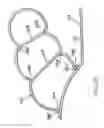 Fig. 32 - Inflatable crafts with an integral underwater viewing window