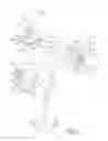 Fig. 03 - Offshore floating support apparatus